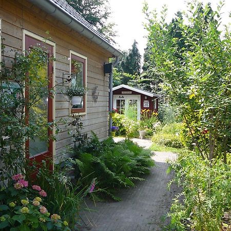 Zonneraai Villa Nieuweroord Exteriör bild