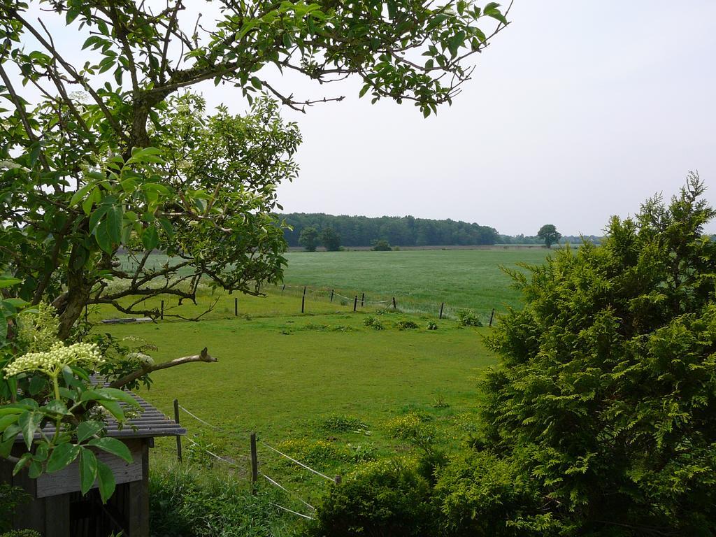 Zonneraai Villa Nieuweroord Exteriör bild
