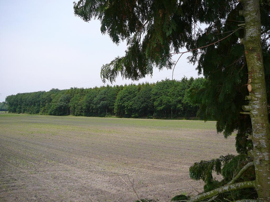 Zonneraai Villa Nieuweroord Exteriör bild