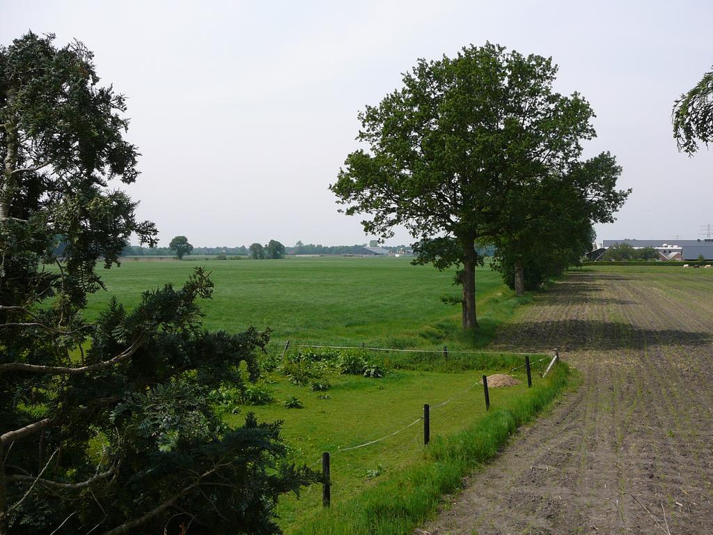 Zonneraai Villa Nieuweroord Exteriör bild