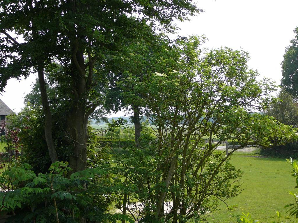 Zonneraai Villa Nieuweroord Exteriör bild